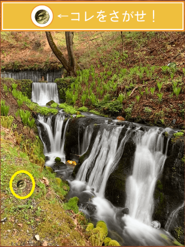 攻略 答え 君の夏休み 宝探し編 問題17