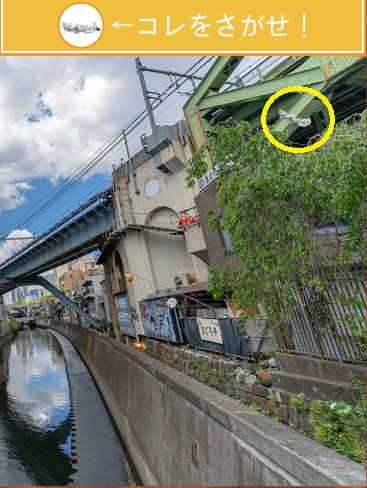 攻略 答え 君の夏休み 宝探し編 問題47 攻略 答え 君の夏休み 宝探し編 問題47