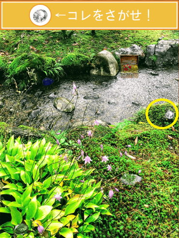 攻略 答え 君の夏休み 宝探し編 問題65