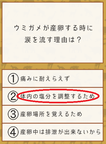 攻略 答え 雑学クイズ 動物編 問題34